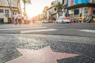 The Moment Los Angeles